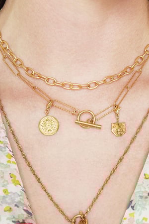 Necklace Chiseled Chain Gold Color Stainless Steel h5 Picture2